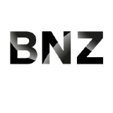 BNZ Energy