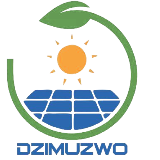 Dzimuzwo Consulting