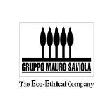 Saviola Group