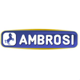 Ambrosi Group