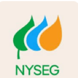 New York State Electric and Gas Company (NYSEG)