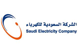 Saudi Electricity Company (SEC)