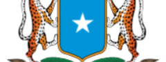 Government of Somalia