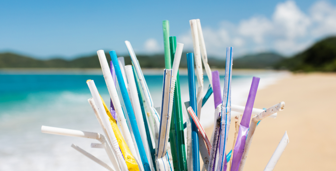 Drawing better straws? Pricing sustainability into supply chains