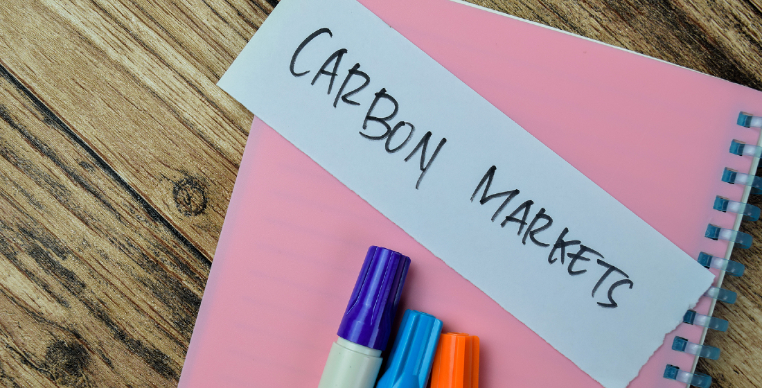 How do carbon markets work? Part 2 