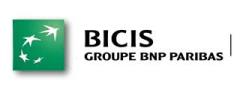 Banque Internationale pour le Commerce et l'Industrie du Sénégal Société Anonyme (BICIS)