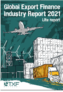 Global Export Finance Industry Report: Lite report